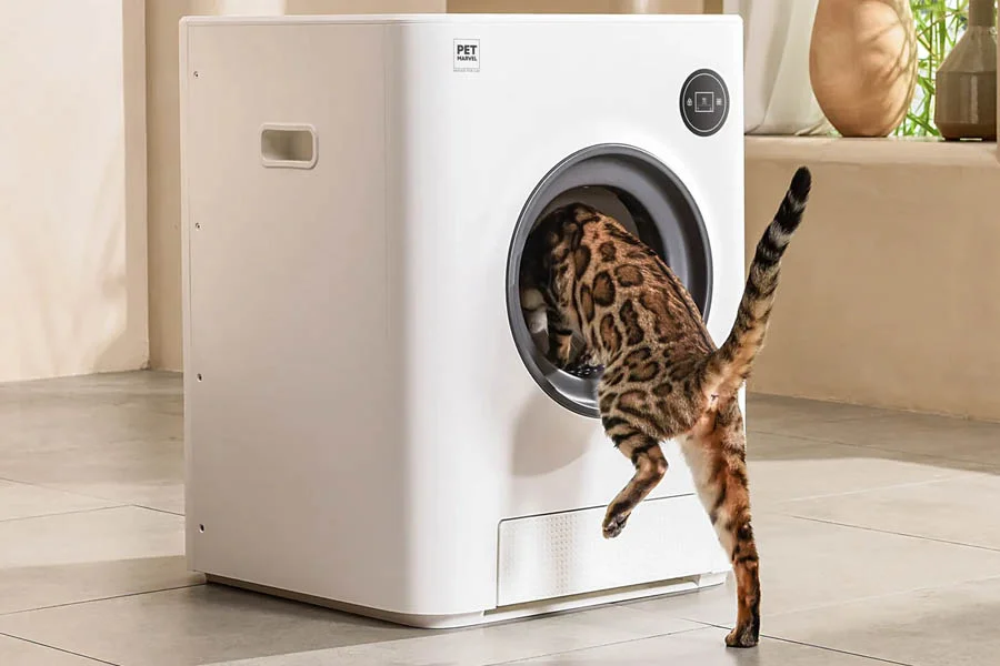 cleaning litter tray